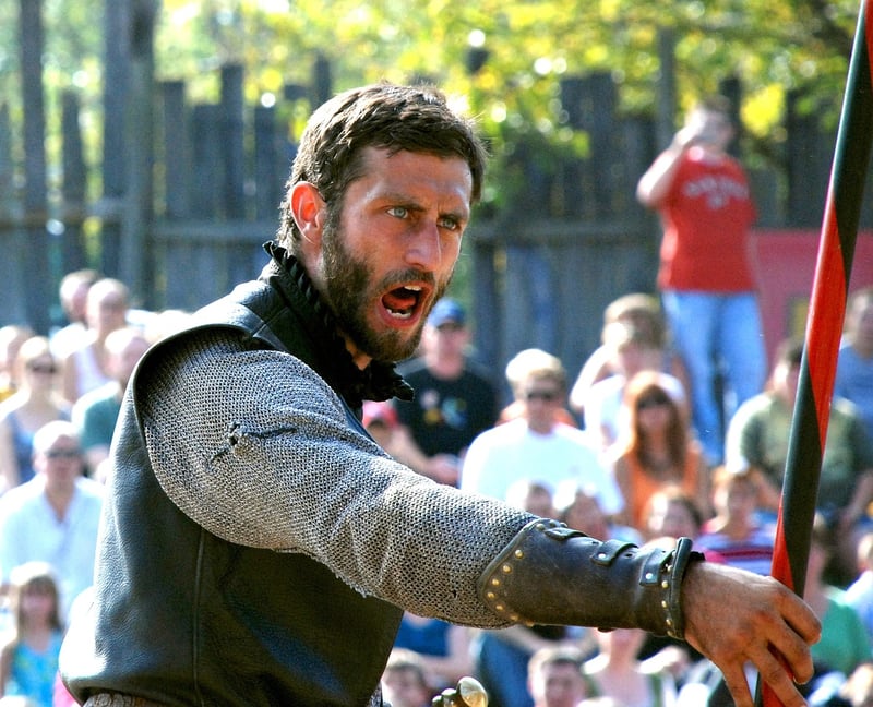 Medieval Knight